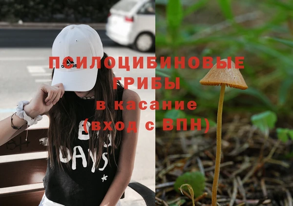 apvp Алексеевка